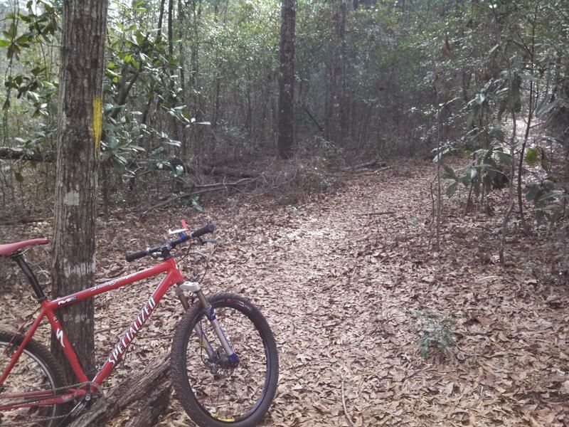 Troy University Bike Trail