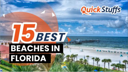 15 Best Beaches in Florida (Must Travel in 2023)
